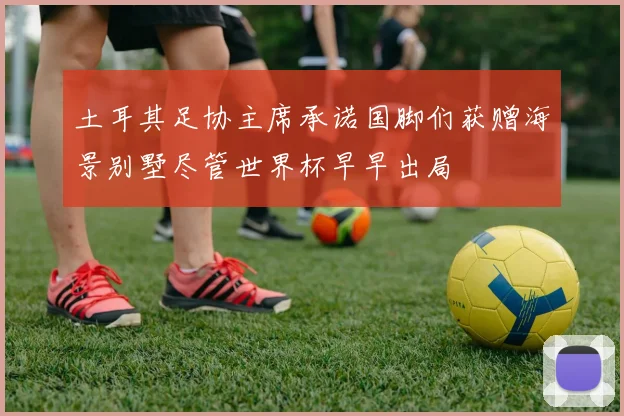 土耳其足协主席承诺国脚们获赠海景别墅尽管世界杯早早出局